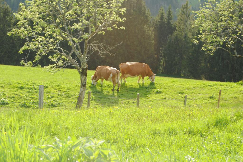 Siedlerhof * Hopfgarten im Brixental