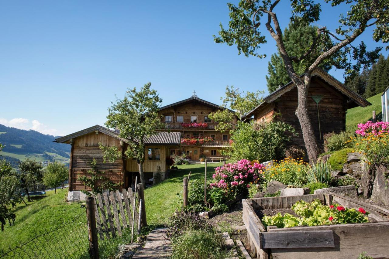 Siedlerhof Appartement *