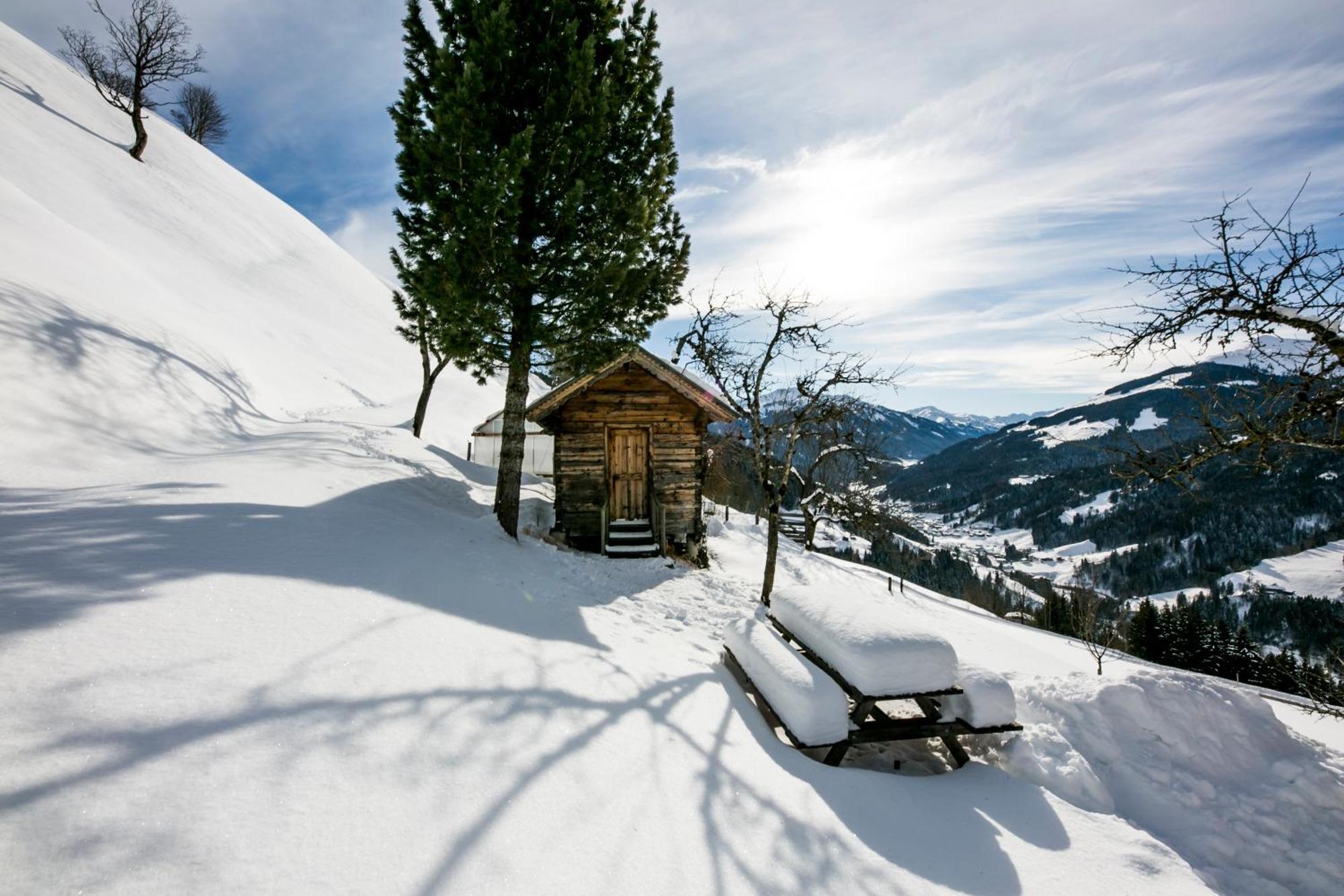 Siedlerhof *