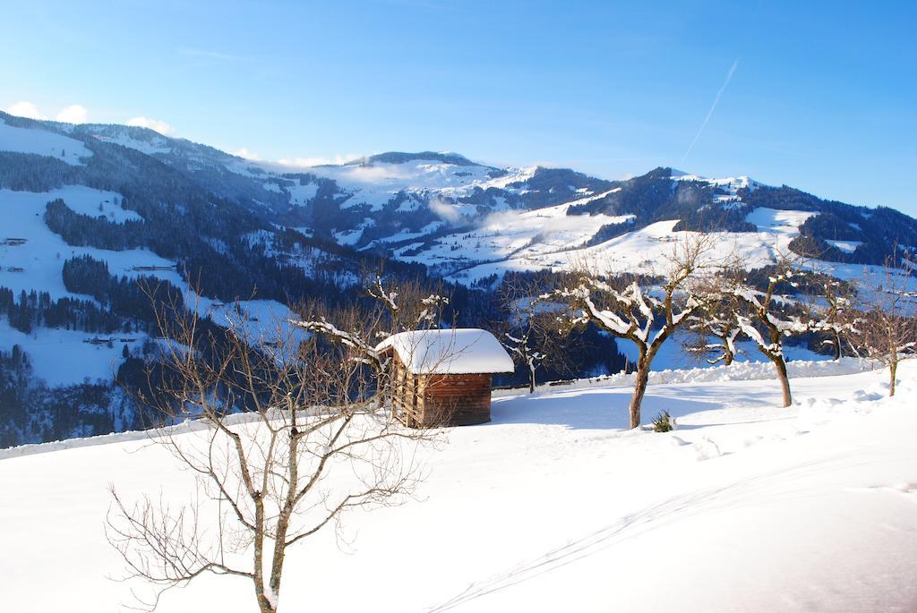 Siedlerhof Appartement